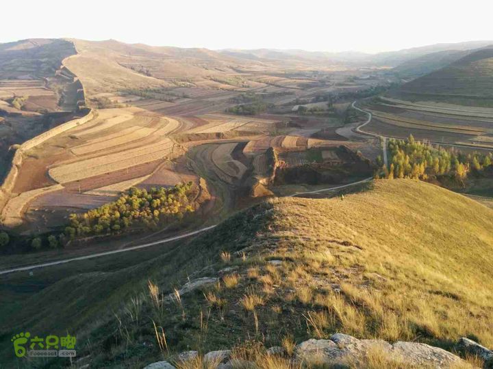 地椒峁野猪口南寨野猪口2