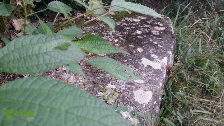 北山经典之里宅大云关盘前石棋盘第一庙环20151005_135820