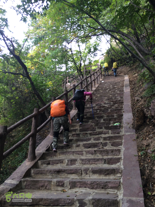 南太行：南坪村－水磨村－郭亮村－梯西坡－松树凹穿越2015-10-06 08:52:24