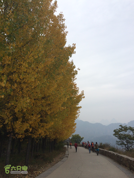 南太行：南坪村－水磨村－郭亮村－梯西坡－松树凹穿越2015-10-06 12:36:35