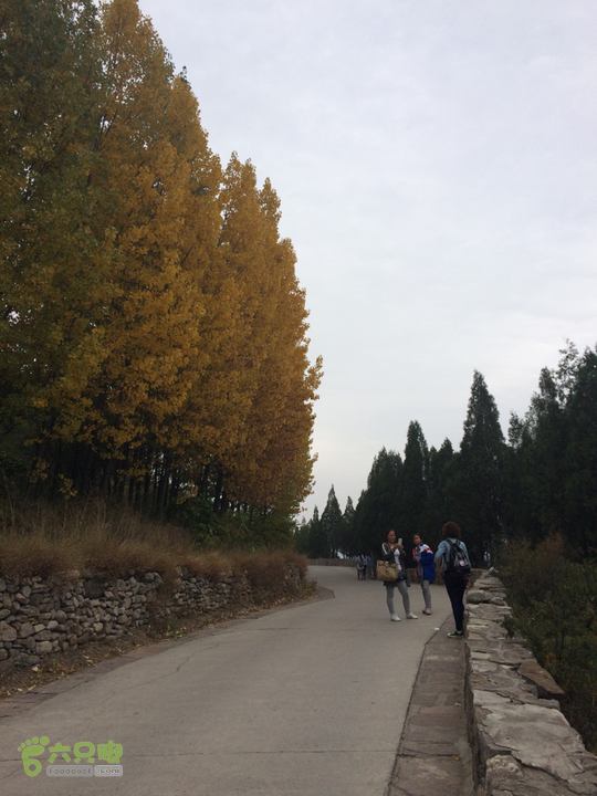 南太行：南坪村－水磨村－郭亮村－梯西坡－松树凹穿越2015-10-06 12:21:55