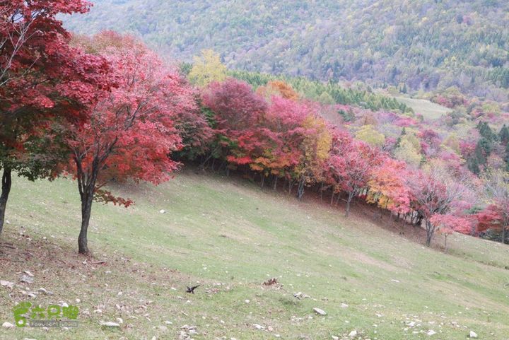 江源花山溪谷七道沟十四道沟镇img8495