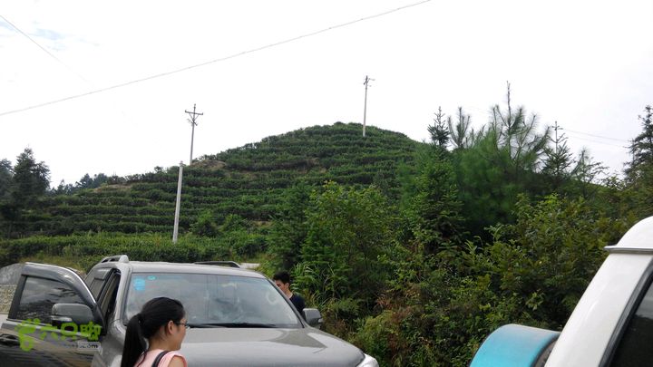 31下午古蔺新村 茶场