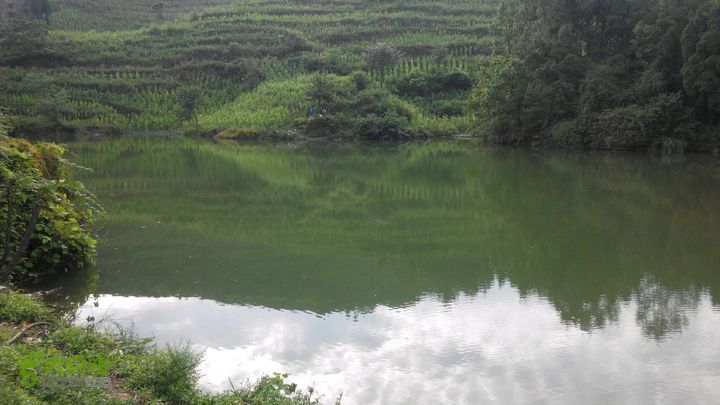 31下午古蔺2015-08-31 16:52:35