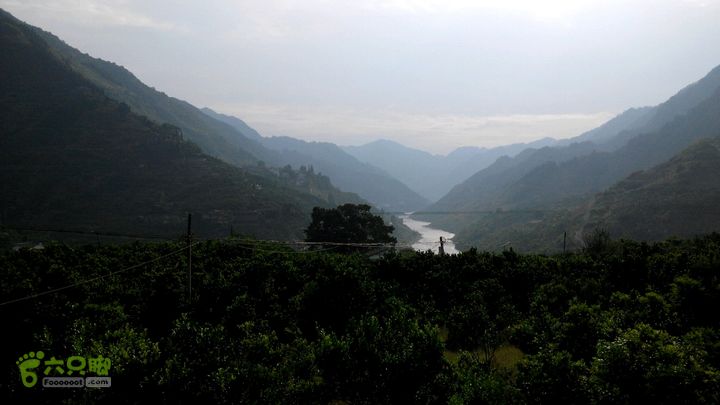 31下午古蔺赤水甜橙