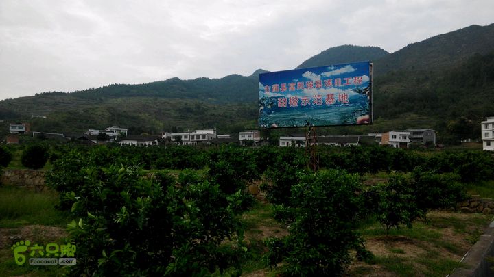 31下午古蔺有老屋子