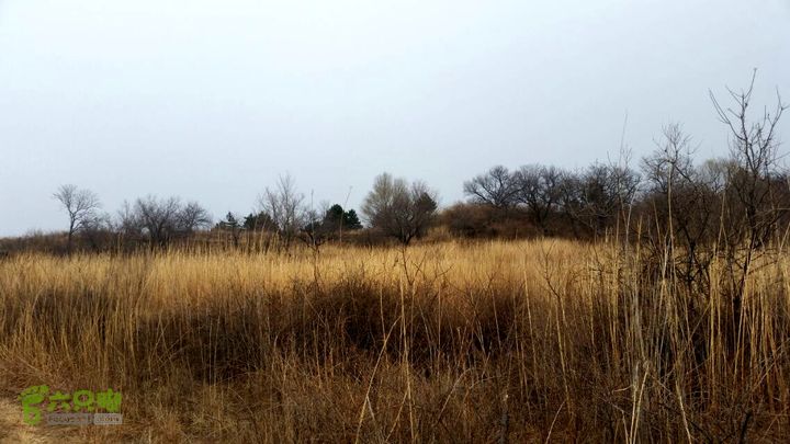 刘家梯太行平湖29