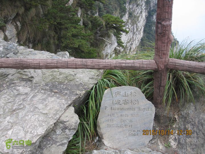 20151014江西庐山东线景区（东到五老峰的四峰）二峰三峰之间有个向东南岔口去往庐山迎客松