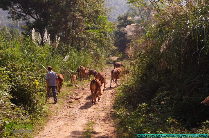 20151017-尧山北峰南峰穿乌岭水库IMGP9724