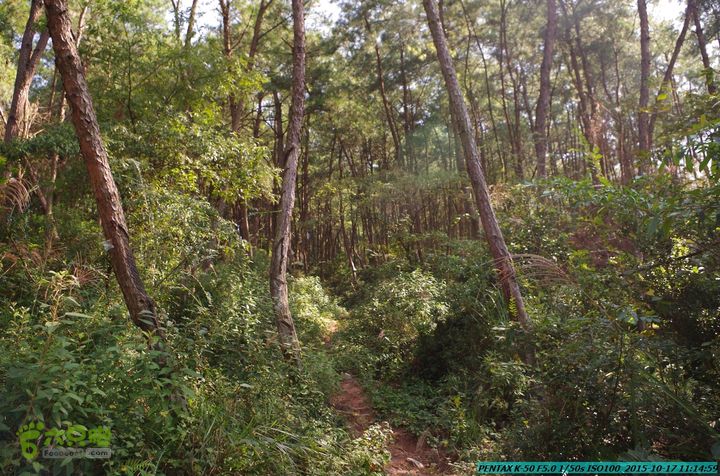 20151017-尧山北峰南峰穿乌岭水库IMGP9727