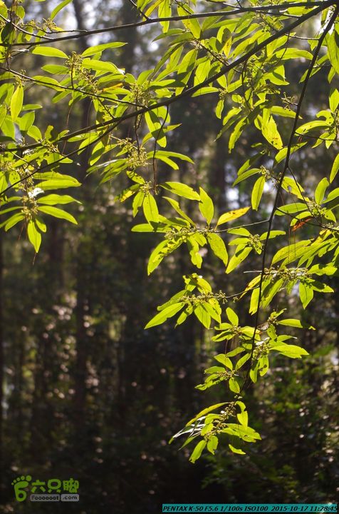 20151017-尧山北峰南峰穿乌岭水库IMGP9737