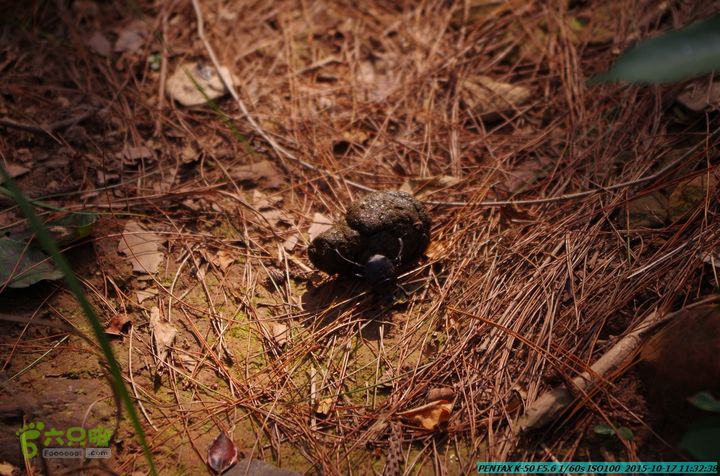 20151017-尧山北峰南峰穿乌岭水库IMGP9742