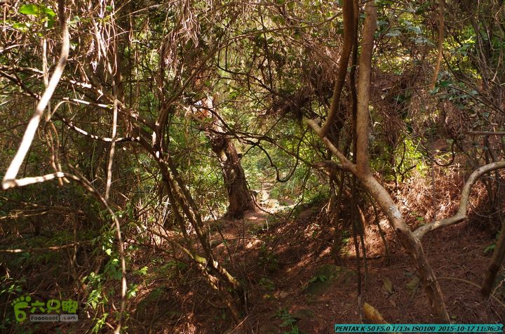 20151017-尧山北峰南峰穿乌岭水库IMGP9744