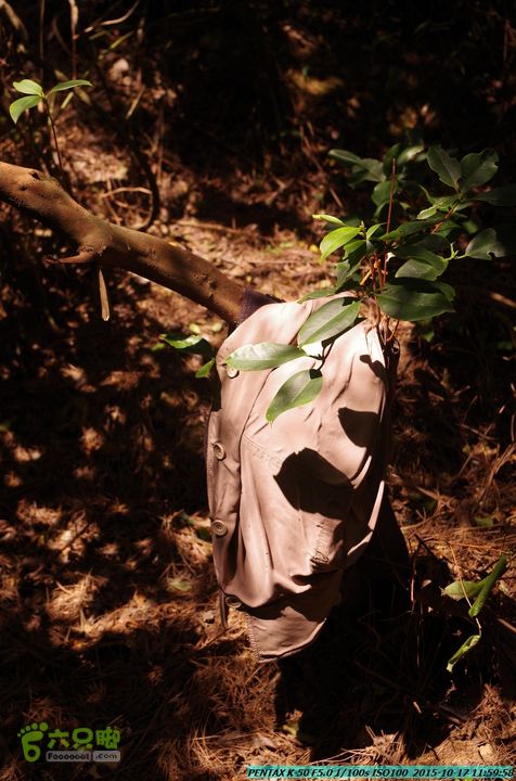 20151017-尧山北峰南峰穿乌岭水库IMGP9749