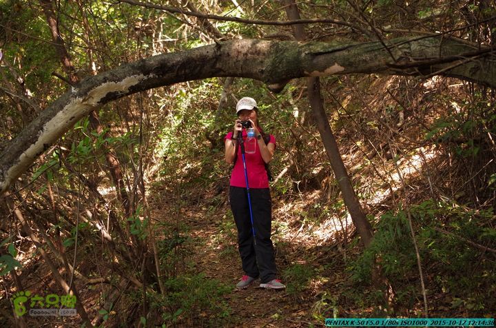 20151017-尧山北峰南峰穿乌岭水库IMGP9756