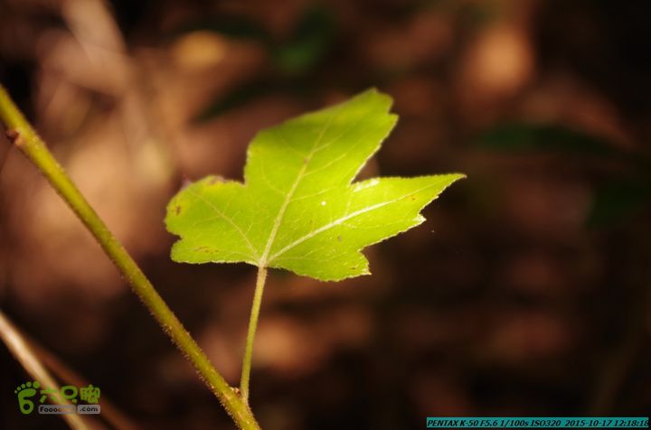 20151017-尧山北峰南峰穿乌岭水库IMGP9758
