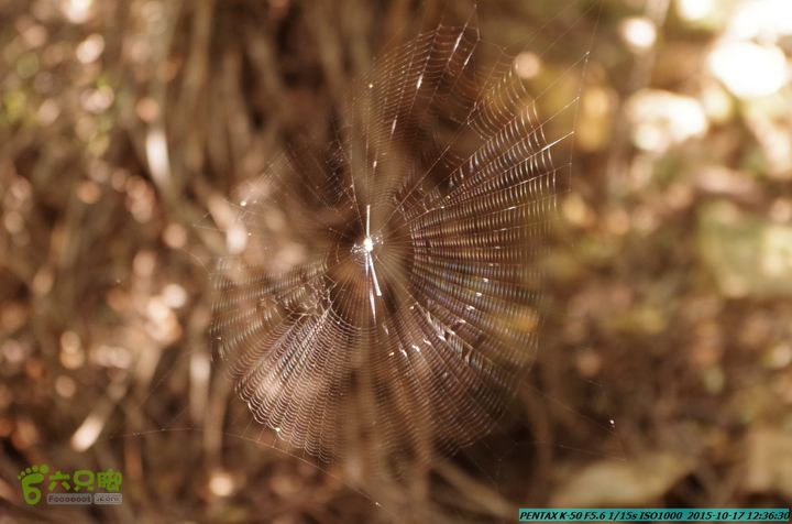 20151017-尧山北峰南峰穿乌岭水库IMGP9772