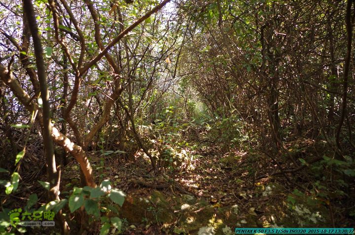 20151017-尧山北峰南峰穿乌岭水库IMGP9783