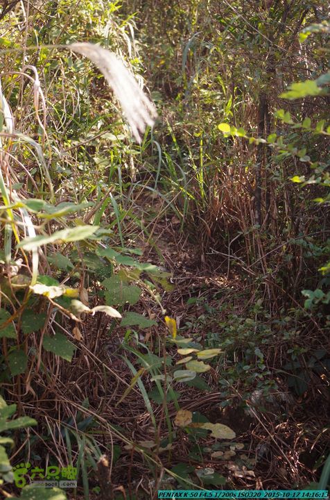 20151017-尧山北峰南峰穿乌岭水库IMGP9795