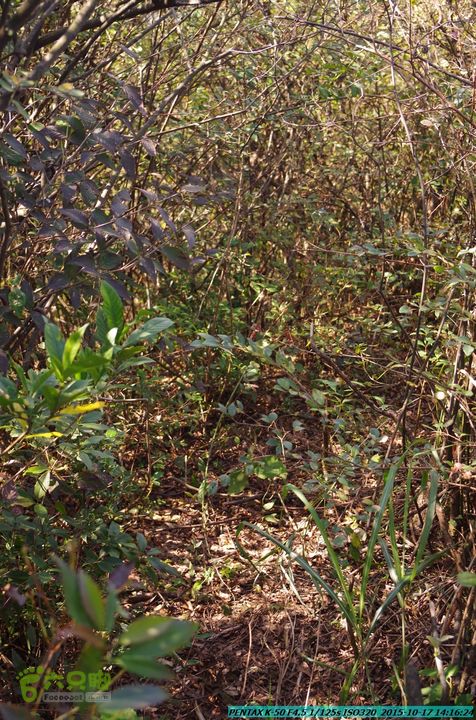 20151017-尧山北峰南峰穿乌岭水库IMGP9796