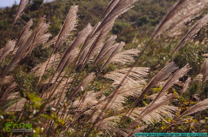 20151017-尧山北峰南峰穿乌岭水库IMGP9805