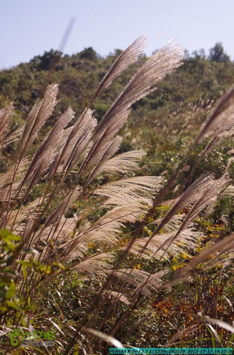 20151017-尧山北峰南峰穿乌岭水库IMGP9807
