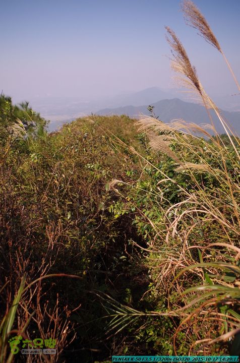 20151017-尧山北峰南峰穿乌岭水库IMGP9808