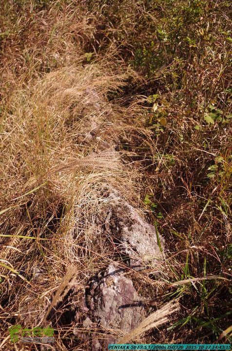 20151017-尧山北峰南峰穿乌岭水库IMGP9813