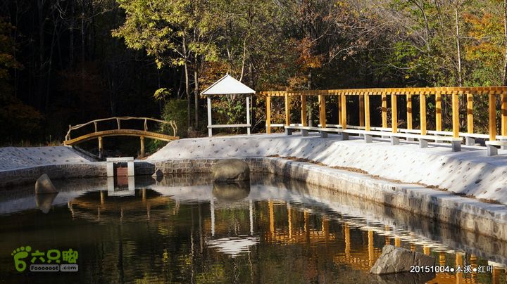 本溪_红叶DSC00097