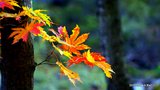 DSC00169-001