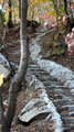 DSC00178