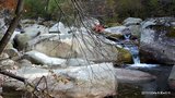 DSC00180