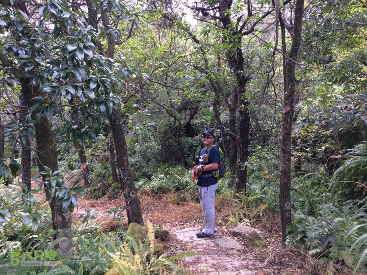 六江站－君竹山－真珠磹－横路－马尾水岸君山穿越2015-10-24 11:58:48