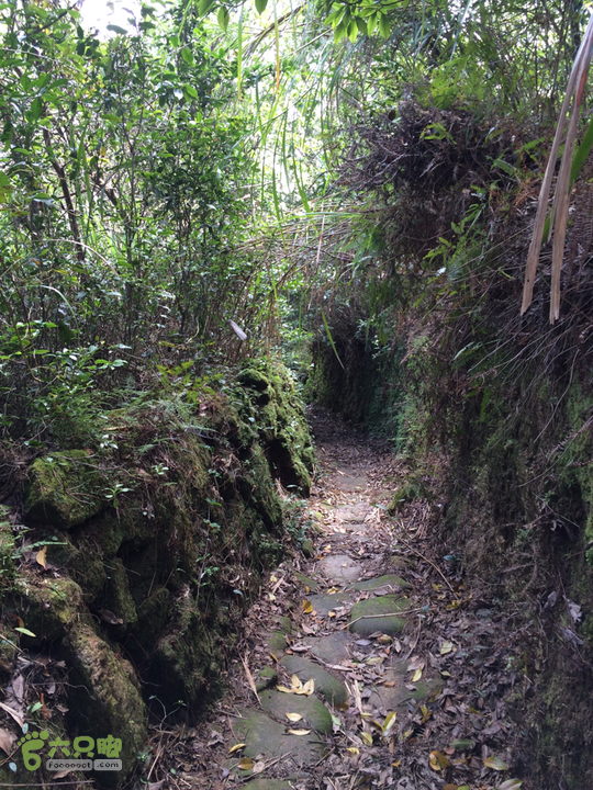 六江站－君竹山－真珠磹－横路－马尾水岸君山穿越2015-10-24 11:34:44