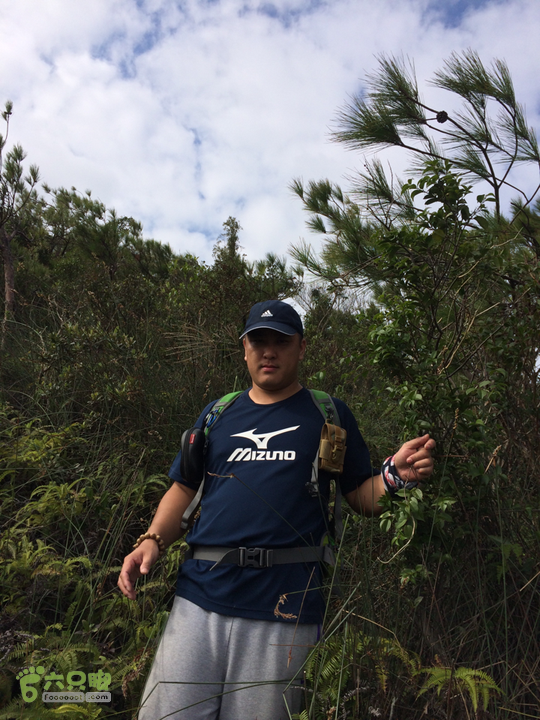 六江站－君竹山－真珠磹－横路－马尾水岸君山穿越2015-10-24 14:23:21