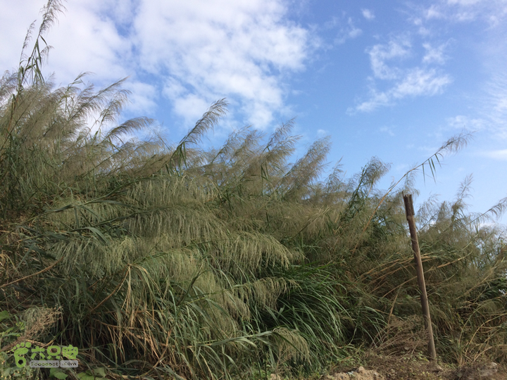 六江站－君竹山－真珠磹－横路－马尾水岸君山穿越2015-10-24 15:09:16