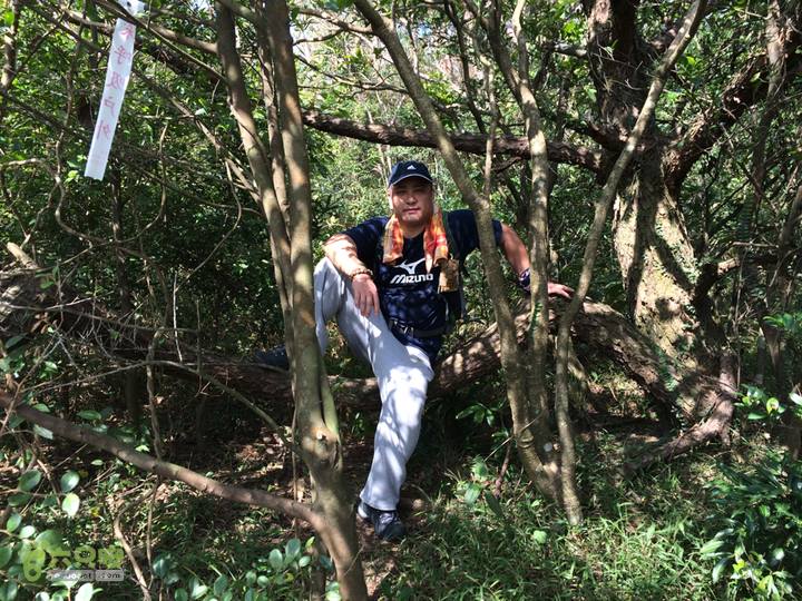 六江站－君竹山－真珠磹－横路－马尾水岸君山穿越2015-10-24 10:07:49