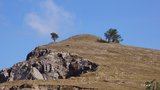 DSC00014