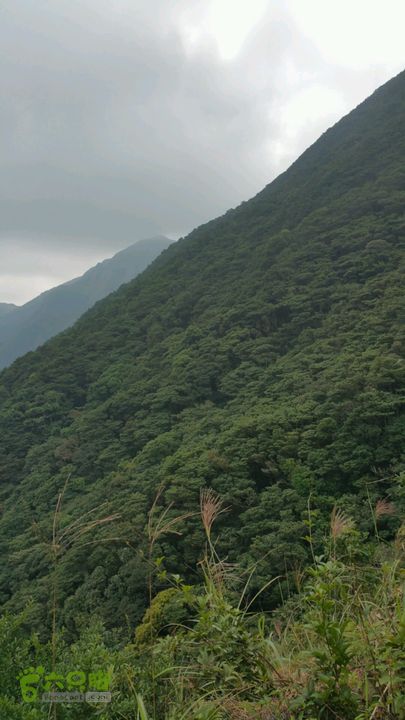 香港东涌-弥勒山-昂坪-地塘仔-东涌满眼苍翠