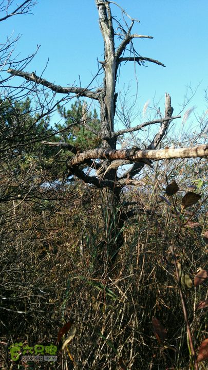 石耳山～青尖～古田山穿越2015-10-25 09:05:45