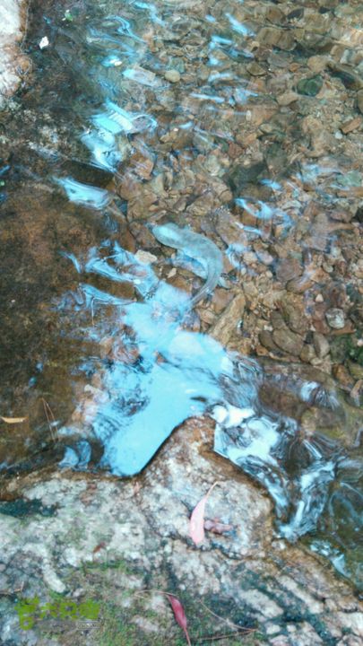 石耳山～青尖～古田山穿越2015-10-25 14:13:18