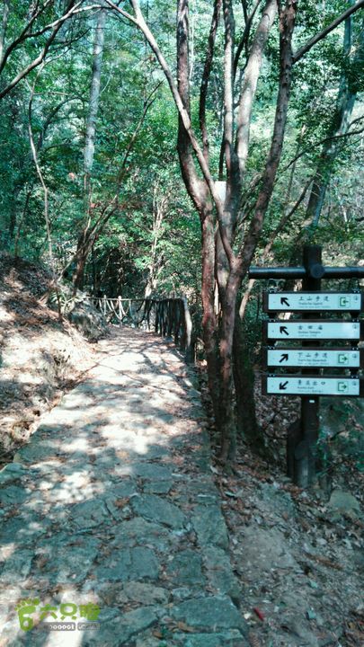 石耳山～青尖～古田山穿越2015-10-25 14:15:07