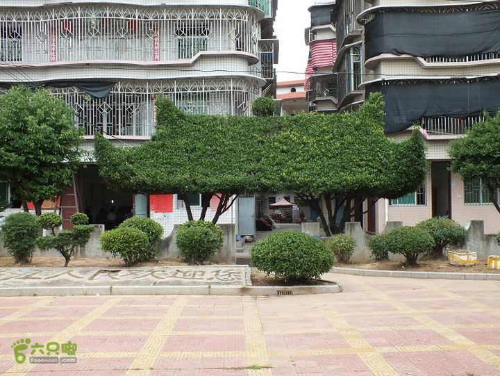 闽江一日游（台江码头-壶江岛）2015_1002_132001