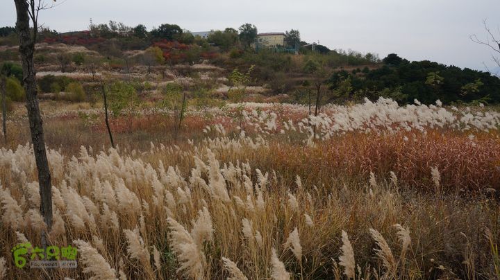 从西营到跑马岭、李家塘徒步DSC04795