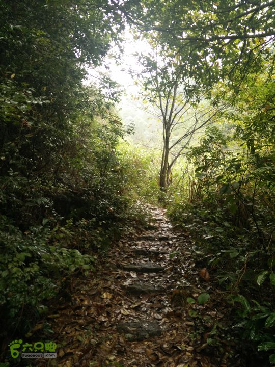 三渡溪-后渠-周坑-金坑-里岭脚-石湖坑-谏庄-石湖口环线石彻的古道