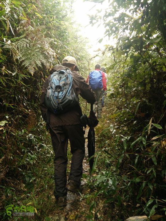 三渡溪-后渠-周坑-金坑-里岭脚-石湖坑-谏庄-石湖口环线IMG20151031100021