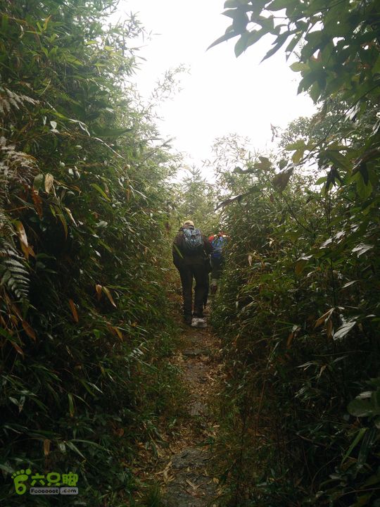 三渡溪-后渠-周坑-金坑-里岭脚-石湖坑-谏庄-石湖口环线IMG20151031100030