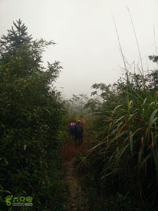 三渡溪-后渠-周坑-金坑-里岭脚-石湖坑-谏庄-石湖口环线10：00到岭头了