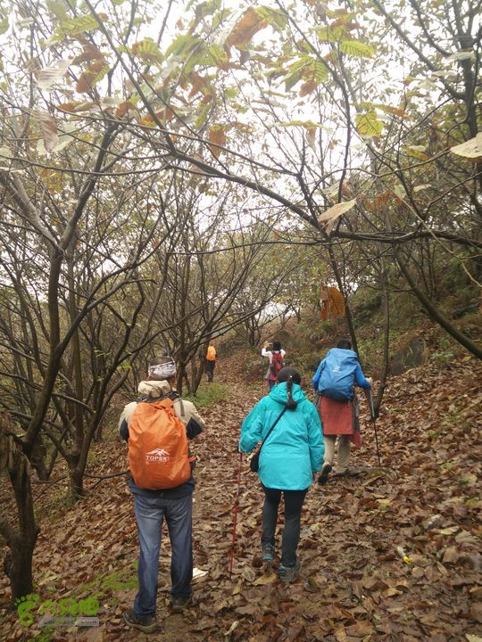 三渡溪-后渠-周坑-金坑-里岭脚-石湖坑-谏庄-石湖口环线板粟林