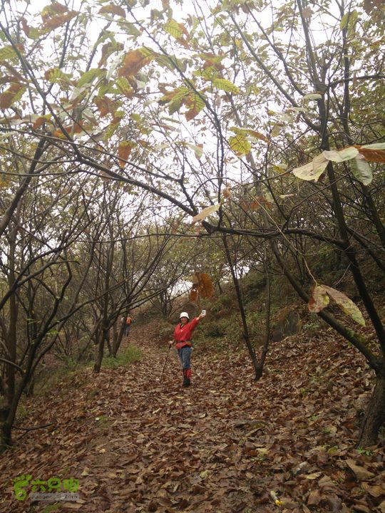 三渡溪-后渠-周坑-金坑-里岭脚-石湖坑-谏庄-石湖口环线IMG20151031101744